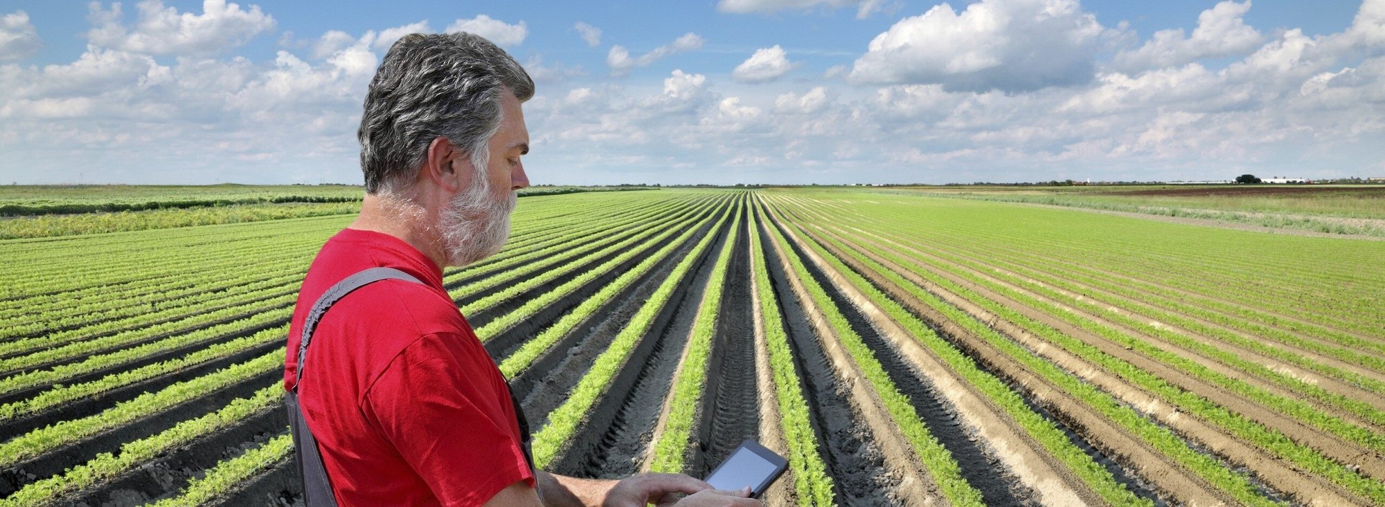 Header_Image-Picture-Agricultural-Sector-2018-GLO-EN2