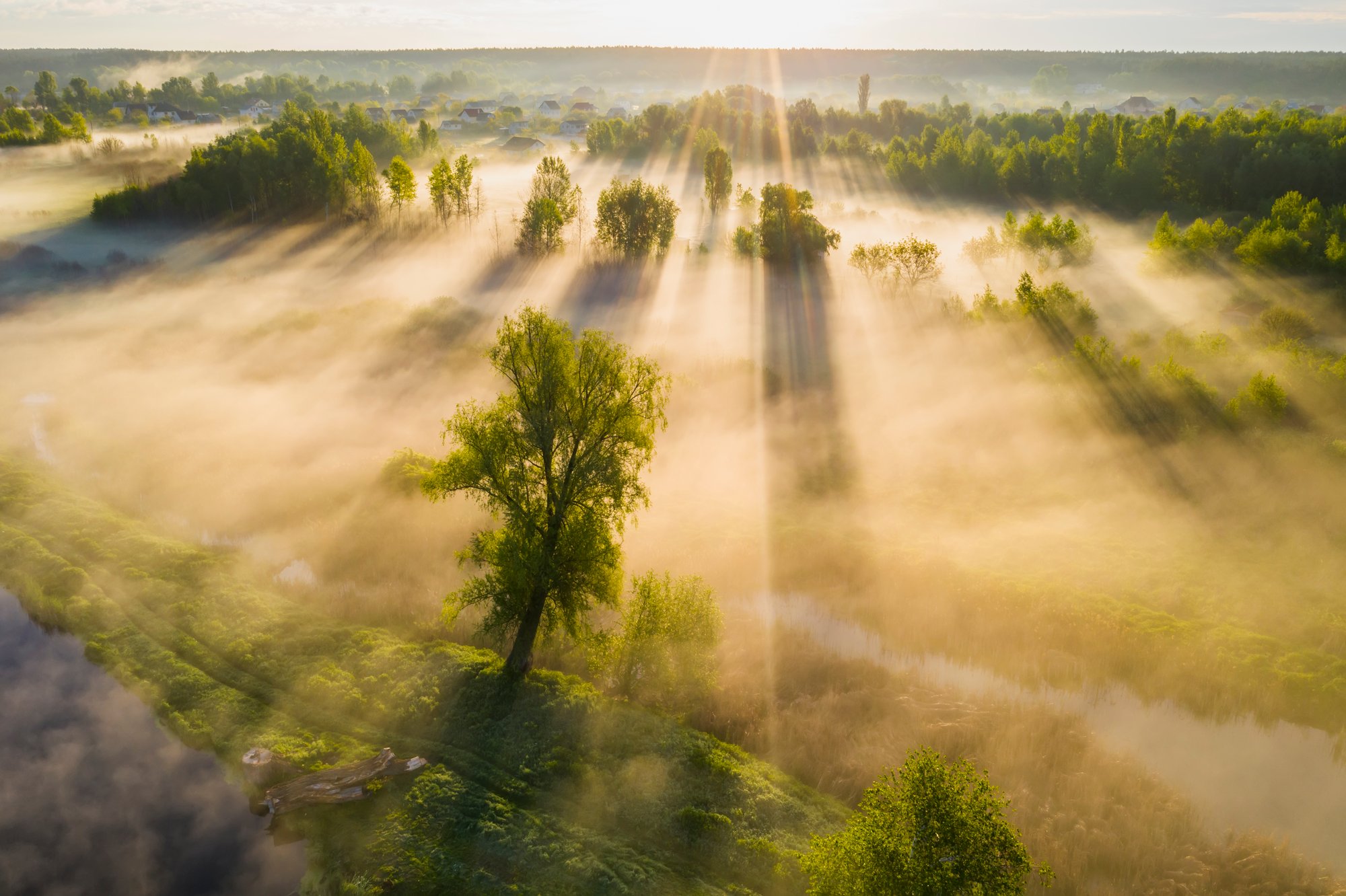 Full-Size_Sustainability Report Landscape green trees fog and sunlight 20231010 GLO EN