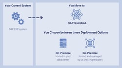 Infographic-SAP-S4HANA-Brownfield-Overview
