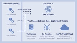 Infographic-SAP-S4HANA-SDT-Overview